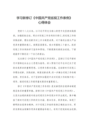纪检干部学习新修订中国共产党巡视工作条例2024版的心得体会(十三篇).docx