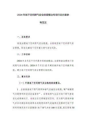 2024年地下空间燃气安全排查整治专项行动方案参考范文.docx