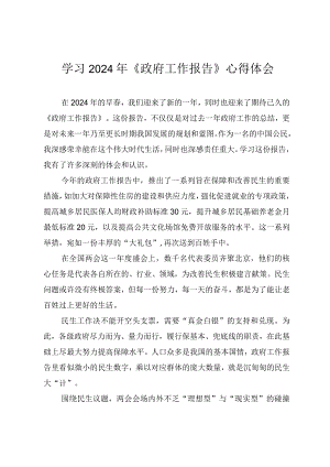 （2篇范文）学习2024年《政府工作报告》心得体会发言稿.docx