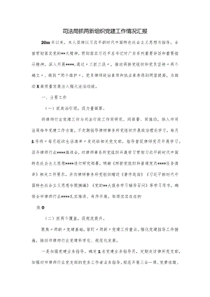 司法局抓两新组织党建工作情况汇报.docx