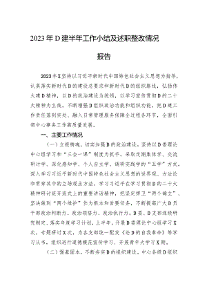 2023年党建半年工作小结及述职整改情况报告.docx