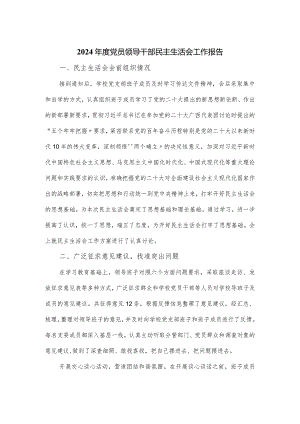 2024年度党员领导干部民主生活会工作报告.docx