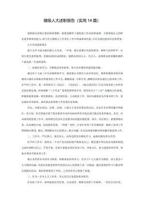 镇级人大述职报告（实用14篇）.docx