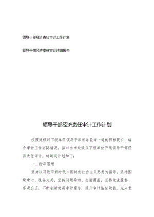 领导干部经济责任审计工作计划、述职报告共2篇.docx