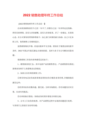 2022销售助理年终工作总结.docx