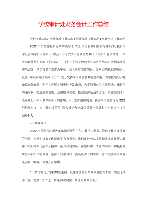学校审计处财务会计工作总结.docx