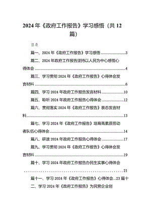 2024年《政府工作报告》学习感悟12篇供参考.docx