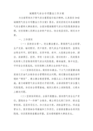 城镇燃气安全专项整治工作方案.docx