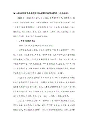 2024年度基层党员组织生活会对照检查发言提纲.docx