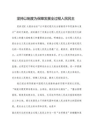 坚持以制度为保障发展全过程人民民主.docx