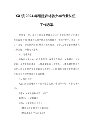 XX镇2024年组建森林防火半专业队伍工作方案.docx