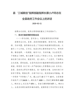 蔡小卢：在全县政府工作会议上的讲话.docx
