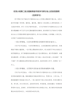 在党小组第二批主题教育读书班学习研讨会上的发言提纲.docx