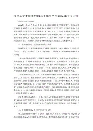某镇人大主席团2023年工作总结及2024年工作计划.docx