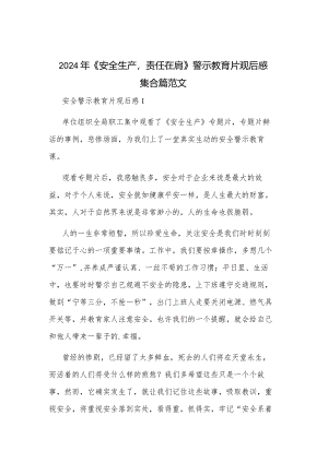 2024年《安全生产责任在肩》警示教育片观后感集合篇范文.docx