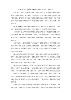 2024年学习全国两会精神专题研讨发言心得体会.docx