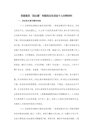 党委委员“回头看”专题民主生活会个人对照材料.docx