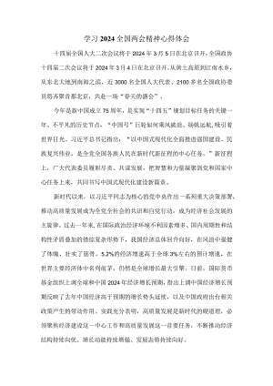 学习2024全国两会精神心得体会三.docx