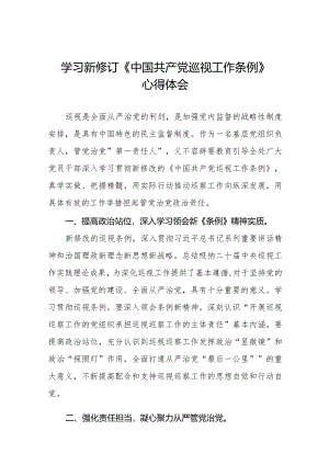 学习2024版新修订中国共产党巡视工作条例心得体会优秀11篇.docx