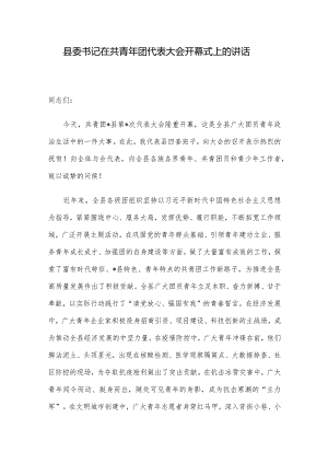 县委书记在共青年团代表大会开幕式上的讲话.docx