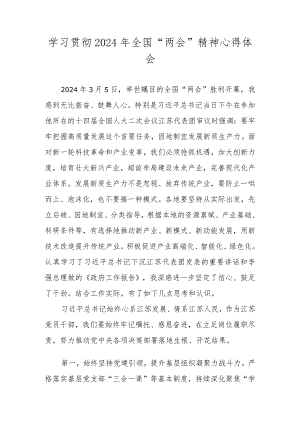 学习2024全国两会精神心得体会五篇.docx