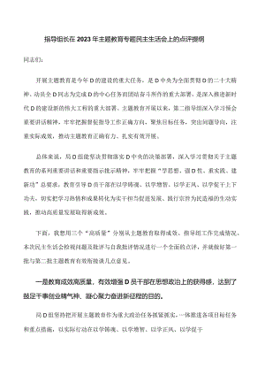 35.指导组长在2023年主题教育专题民主生活会上的点评提纲.docx