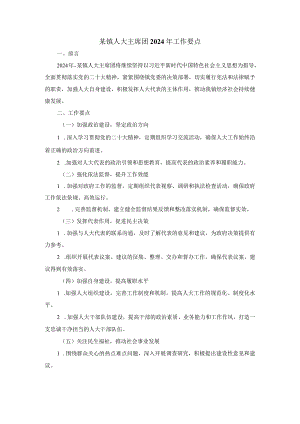 某镇人大主席团2024年工作要点.docx