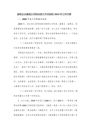 国有企业集团公司综合部工作总结和2024年工作打算.docx