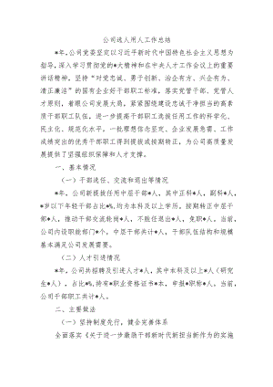 公司选人用人工作总结.docx