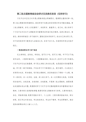 第二批主题教育座谈会研讨交流表态发言.docx