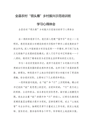 全县农村“领头雁”乡村振兴示范培训班学习心得体会.docx