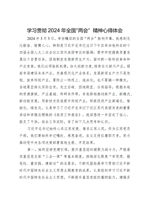 学习贯彻2024年全国“两会”精神心得体会.docx