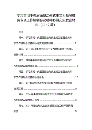 学习贯彻中央层面整治形式主义为基层减负专项工作机制会议精神心得交流发言材料（共12篇）.docx
