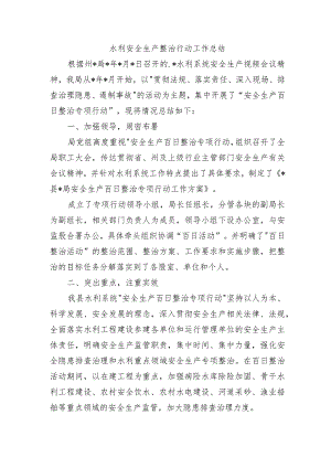 水利安全生产整治行动工作总结.docx