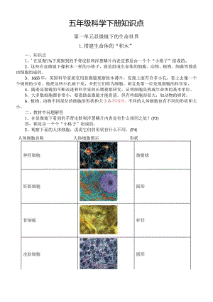 小学科学苏教版五年级下册全册知识点（分单元课时编排）（2024春）.docx