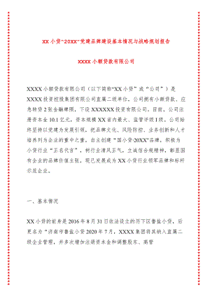 XX小贷20XX党建品牌建设基本情况与战略规划报告.docx