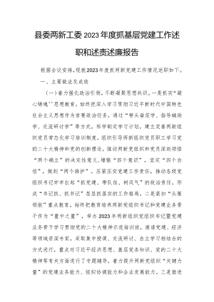 2023年度抓基层党建工作述职和述责述廉报告（县委两新工委）.docx