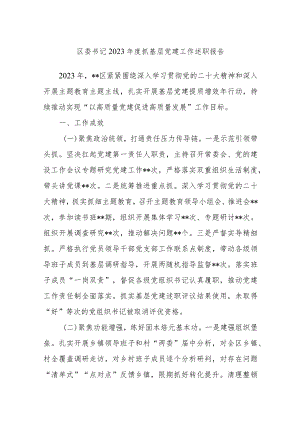 区委书记2023年度抓基层党建工作述职报告.docx