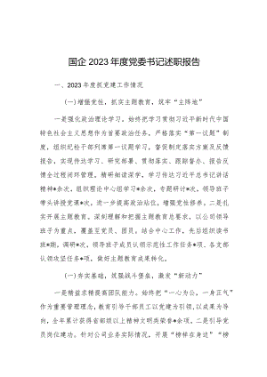 2023年度述职报告（国企党委书记）.docx