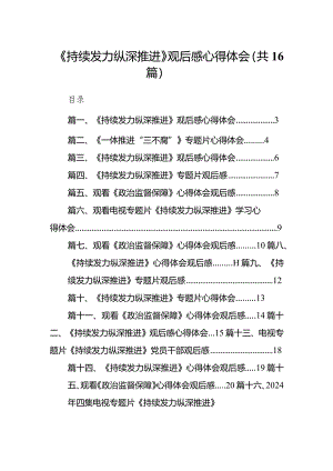 《持续发力纵深推进》观后感心得体会（共16篇）.docx