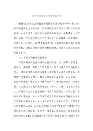 民主生活会个人对照检查材料.docx