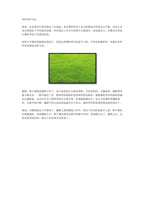 草的养护方法.docx