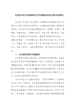 党支部2024年专题教育工作开展情况阶段汇报和总结报告【5篇】供参考.docx