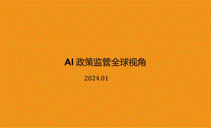 2024AI政策监管全球视角.docx