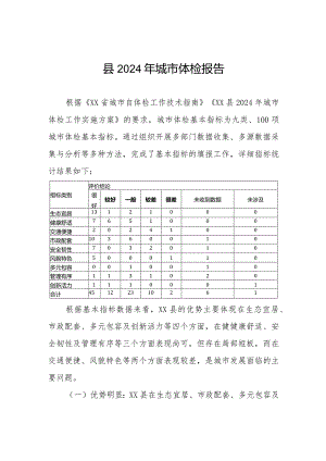 县2024年城市体检报告.docx