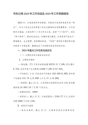 2024工作总结市东分局.docx