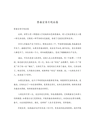 禁毒宣传片观后感.docx