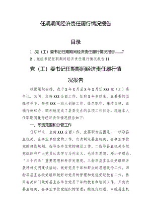 任期期间经济责任履行情况报告（2篇）.docx