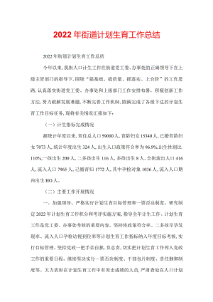 2022年街道计划生育工作总结.docx