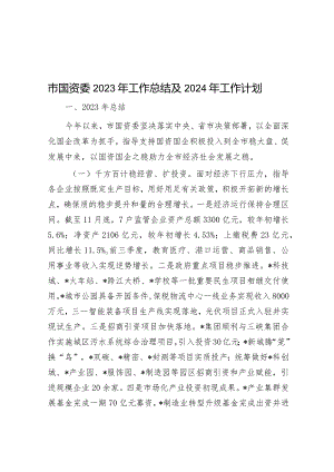 市国资委2023年工作总结及2024年工作计划&2023年党支部党建工作计划.docx
